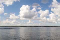 D023315