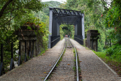 D222360