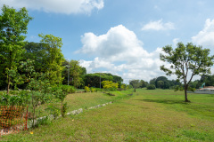 D223005