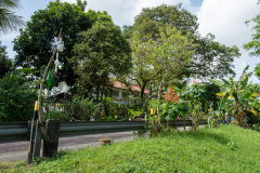 D223007