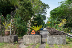 D223009