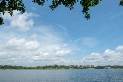 D223011