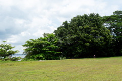 D223031