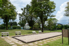 D223037