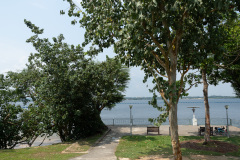 D285305