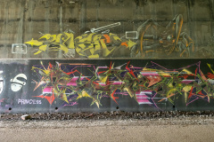 D293079