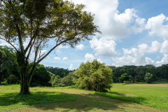 D033320