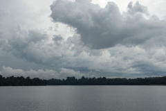D033335