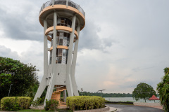 D033338