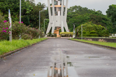 D033339