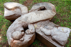 B300429