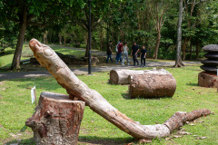 B300434