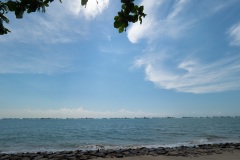 D309363