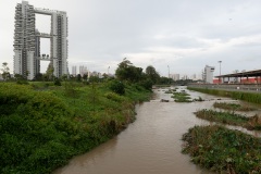 D044976