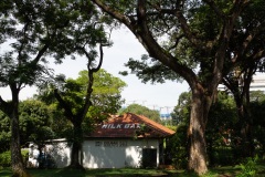 D047555