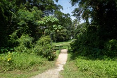 D047561