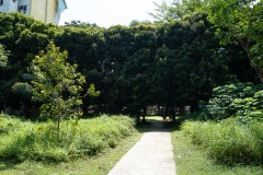 D047562