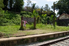 D047577