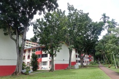 P6040017