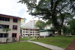 P6040020