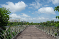 D062395