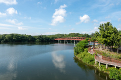 B080081