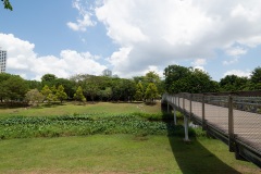 D086369