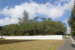 P3086350
