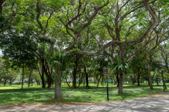 D082810