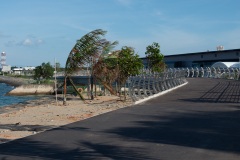 D221025