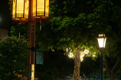 Foshan, Foshan Lingnan Tiandi, Foshan Lingnan World, 佛山岭南天地