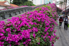 Guangzhou