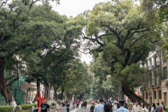 Guangzhou, Shamiandao Island, 沙面岛