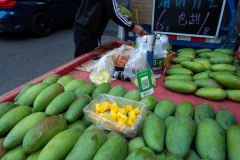 Foshan, Foshan Lingnan Tiandi, Foshan Lingnan World, 佛山岭南天地