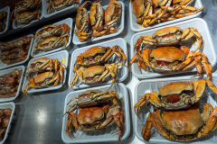 Guangzhou, Shang Xia Jiu Bu Xing Jie, 上下九步行街, 西关美食城