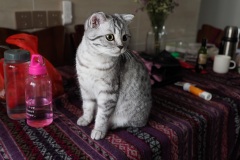 D151838