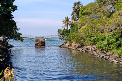 Samanala Bridge (Butterfly Bridge)