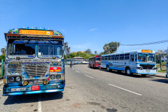 Galle