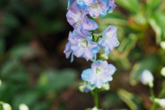 B098205