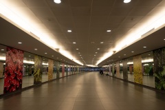 D093904