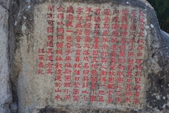 D294132