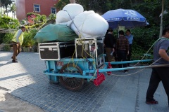 D294136