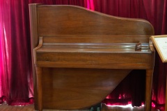 D294065