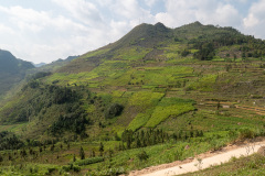 B058556