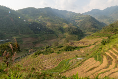 B058560
