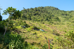D037180
