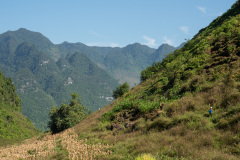 D037188