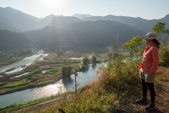 D037217