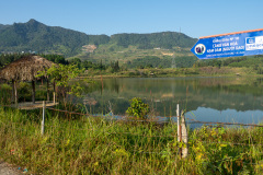 D047236