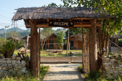 D047244